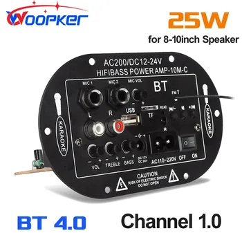Woopker Digitalni Bluetooth Stereo Pojačalo Odbor Zvučnici Dvojno Mikrofon Karaoke 8 do 10 Cm Zvučnik 110V 220V 12V 24V