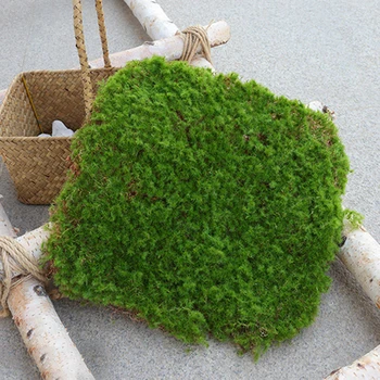 Umjetna Moss Zelene Lažni Biljka Mikro Pejzaž Ukras Simulacija Moss Trava Terenu Travnjaku Kući Vrt Zid Dekor